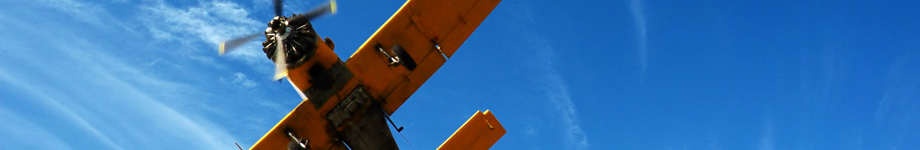 Design Tavern Rotating Header Image