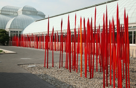 IMG 1065 06.26