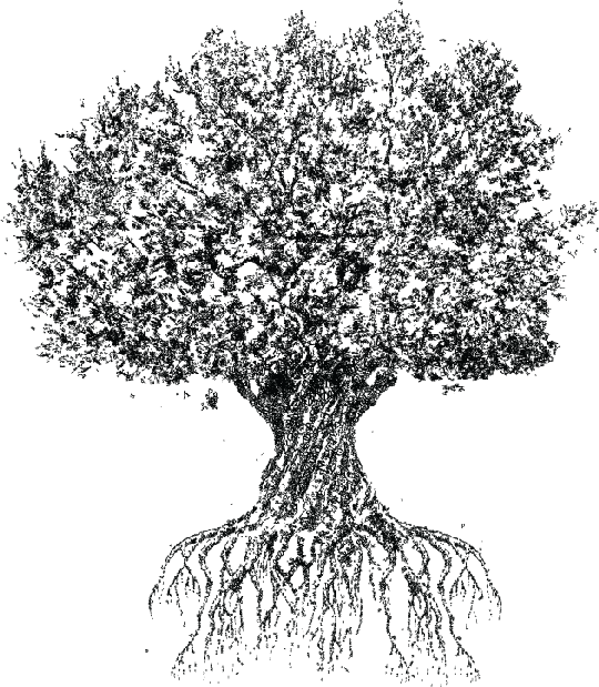 grow