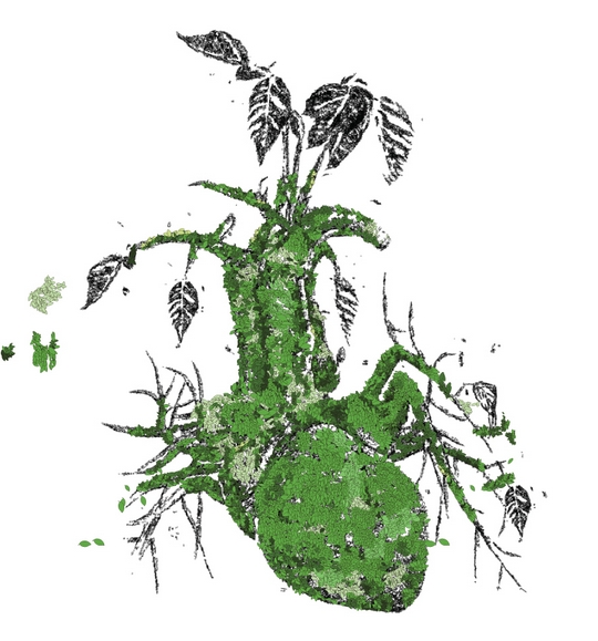 transplant green