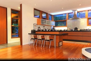 Twilight New Moon House
