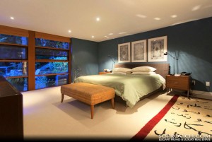 Twilight New Moon House